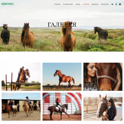 Школа верховой езды